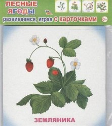 jagodi